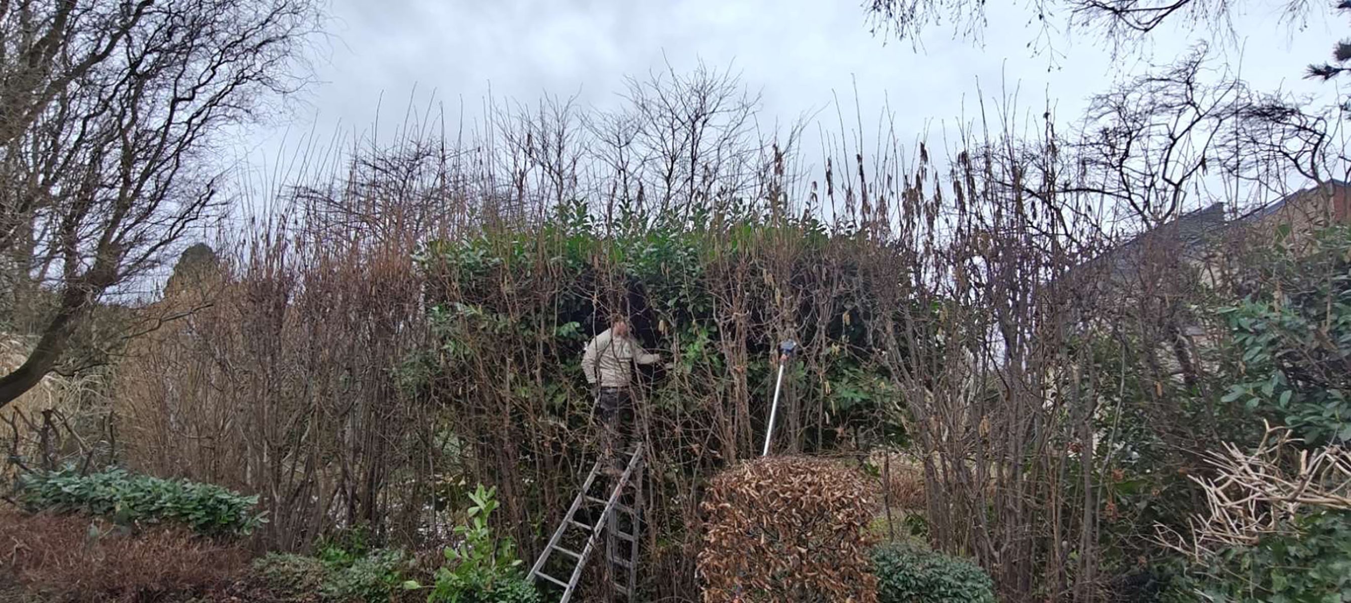 Tuinwerken Lendo-Tuinaannemer Vlaams-Brabant-realisaties-33