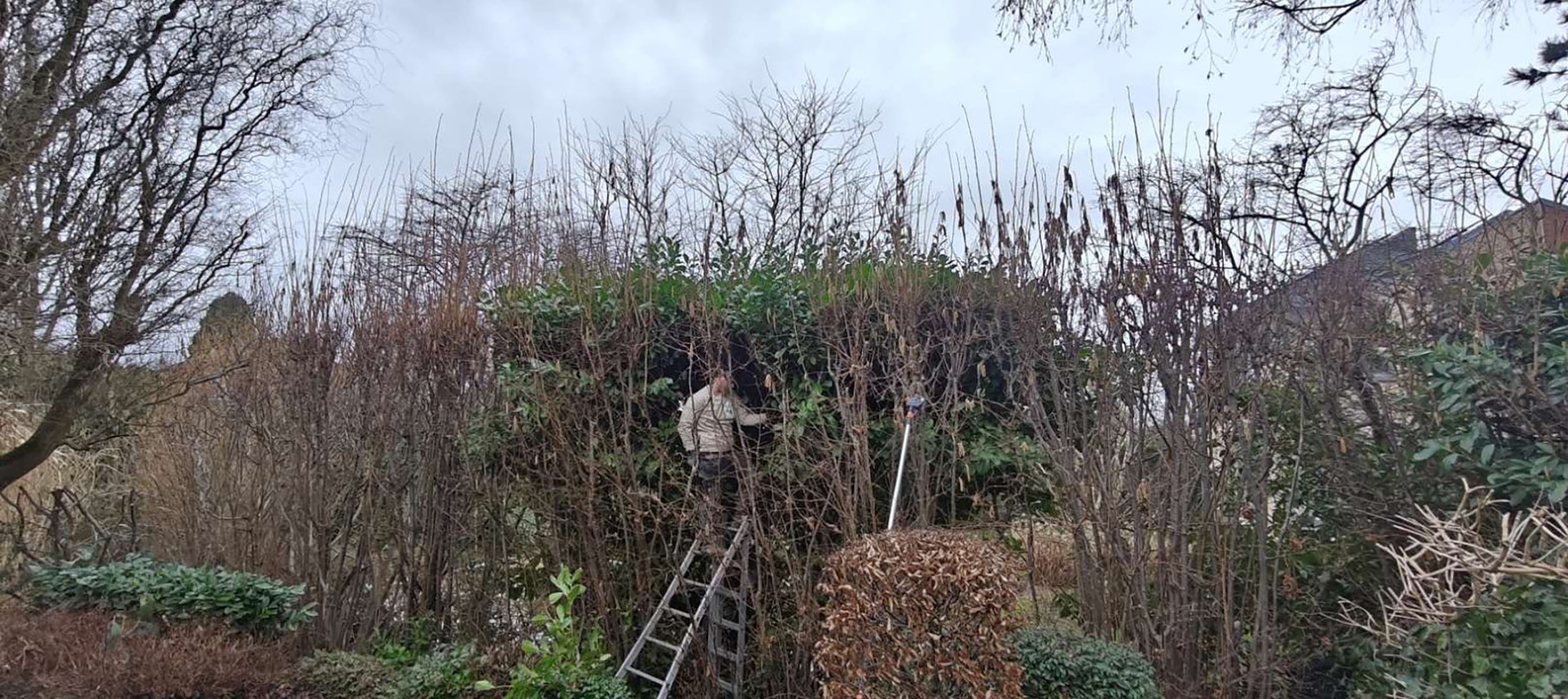 Tuinwerken Lendo-Tuinaannemer Vlaams-Brabant-realisaties-34