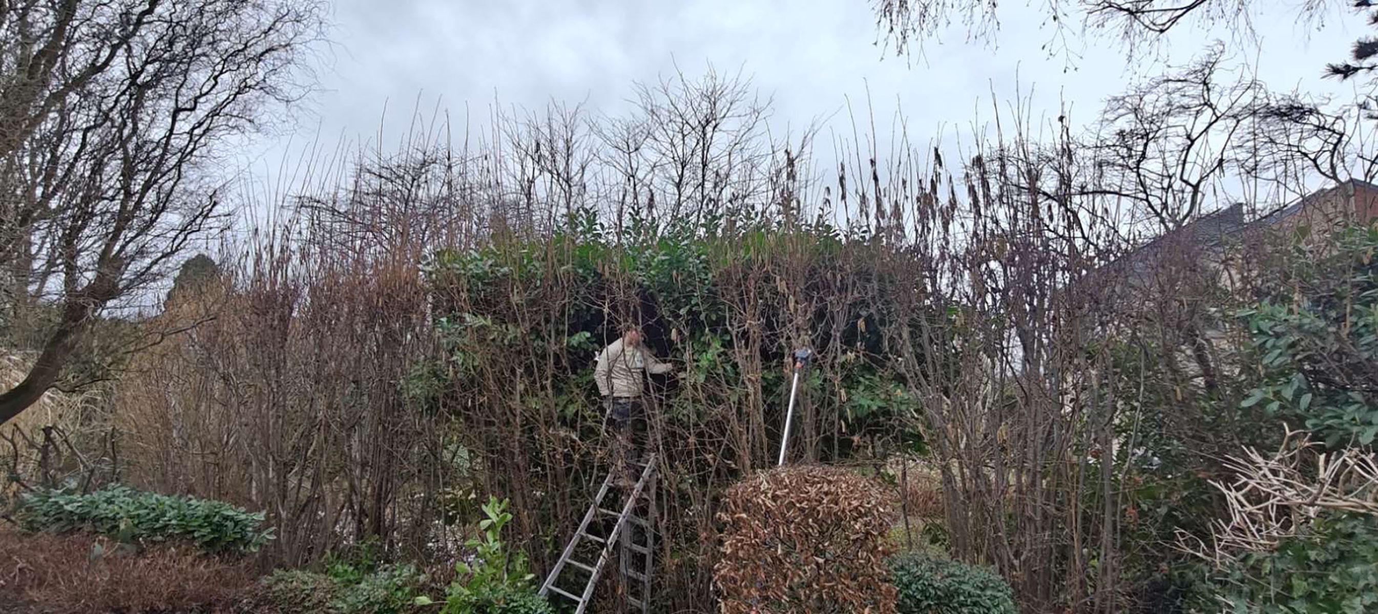 Tuinwerken Lendo-Tuinaannemer Vlaams-Brabant-realisaties-35