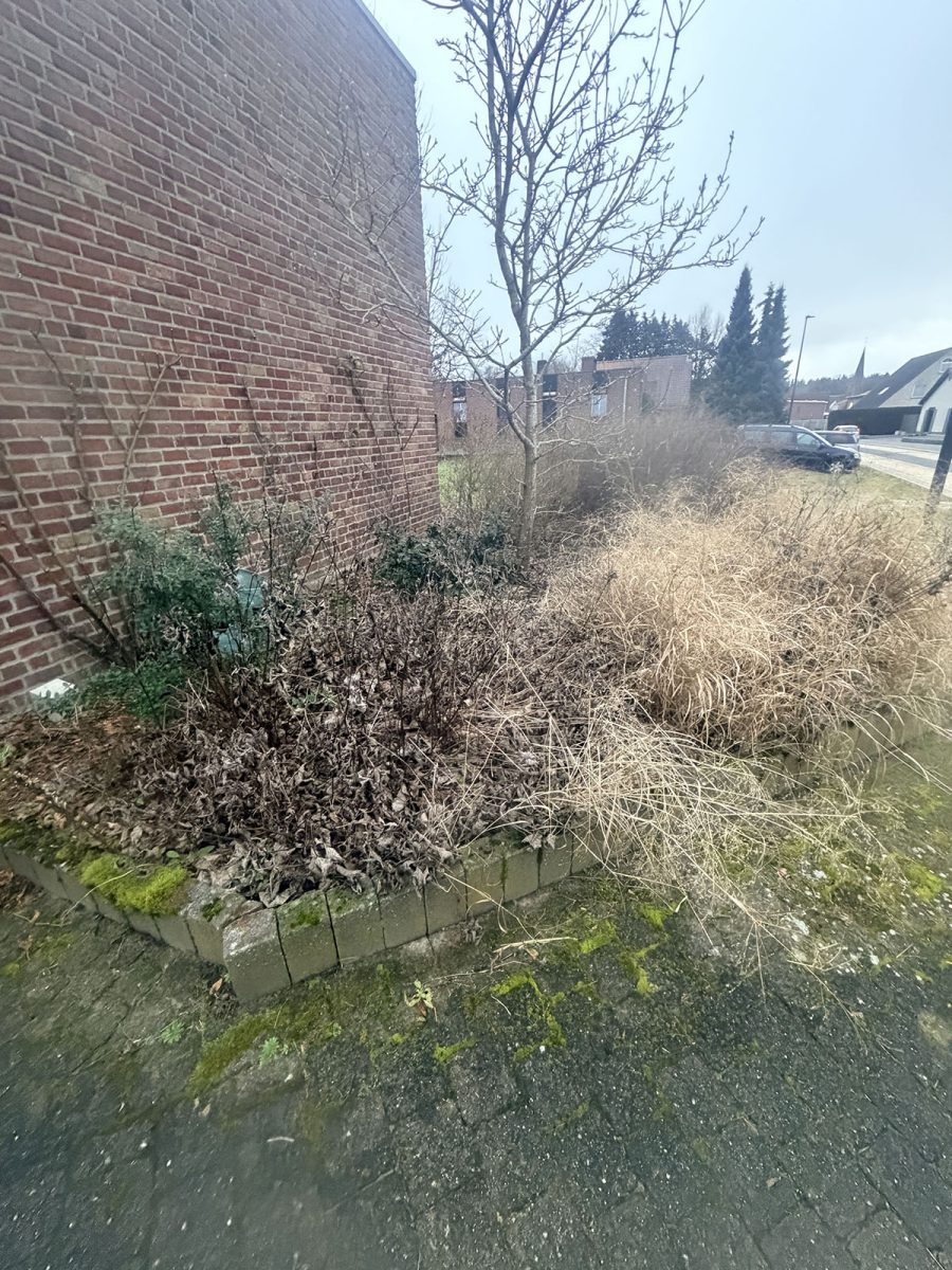 Tuinwerken Lendo-Tuinaannemer Vlaams-Brabant-realisaties-40