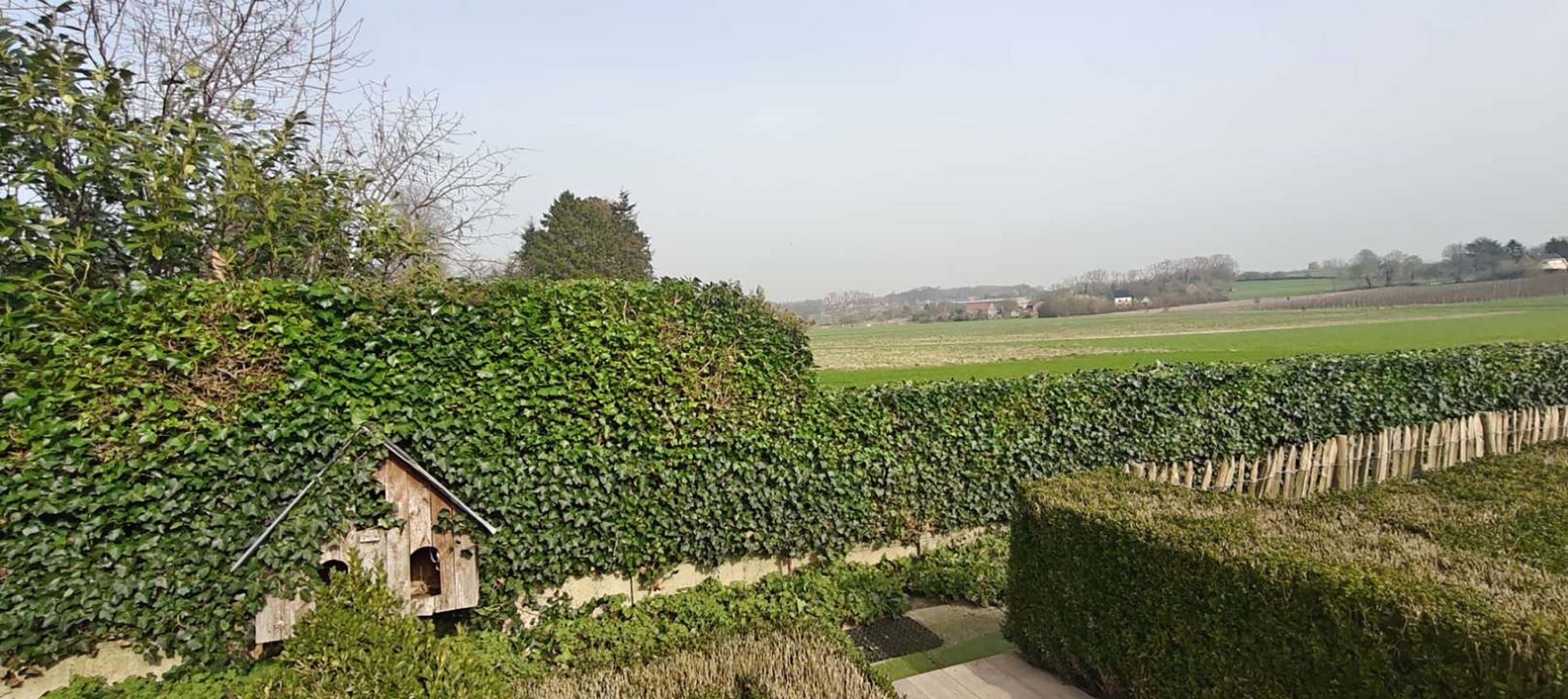 Tuinwerken Lendo-Tuinaannemer Vlaams-Brabant-realisaties-9
